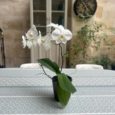 公寓 Aquitain Gare Saint Jean *