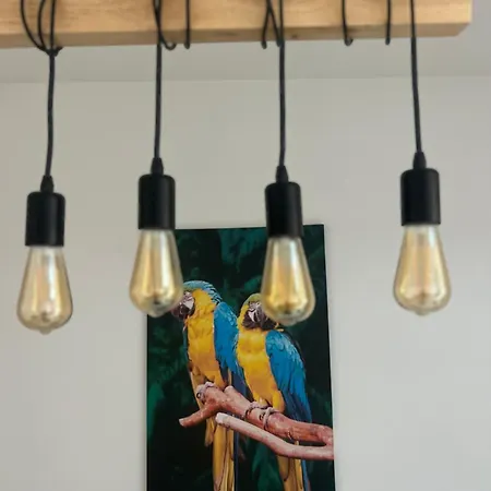 Appartement Aquitain Gare Saint Jean Bordeaux