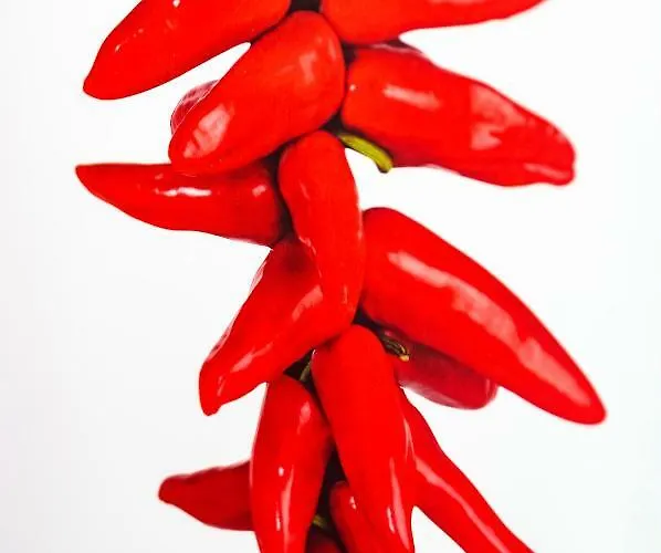 Aquitain - & Confort Gare St Jean *